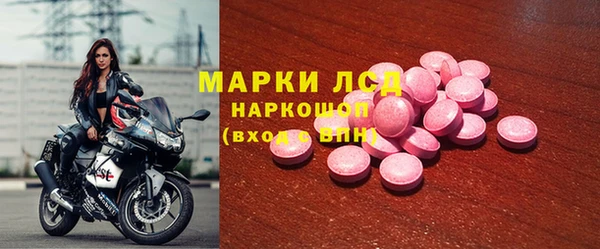 a pvp Новодвинск