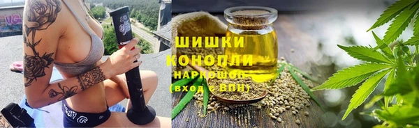 амф Видное